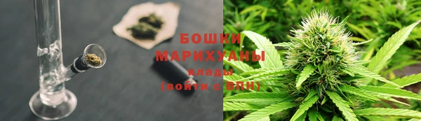 прущая мука Арсеньев