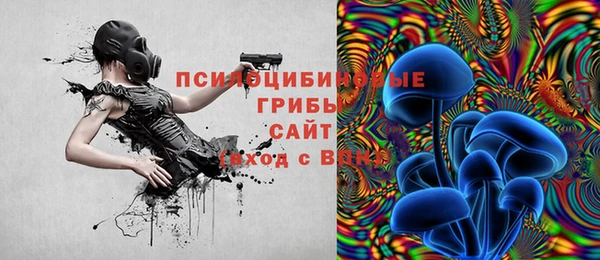 прущая мука Арсеньев